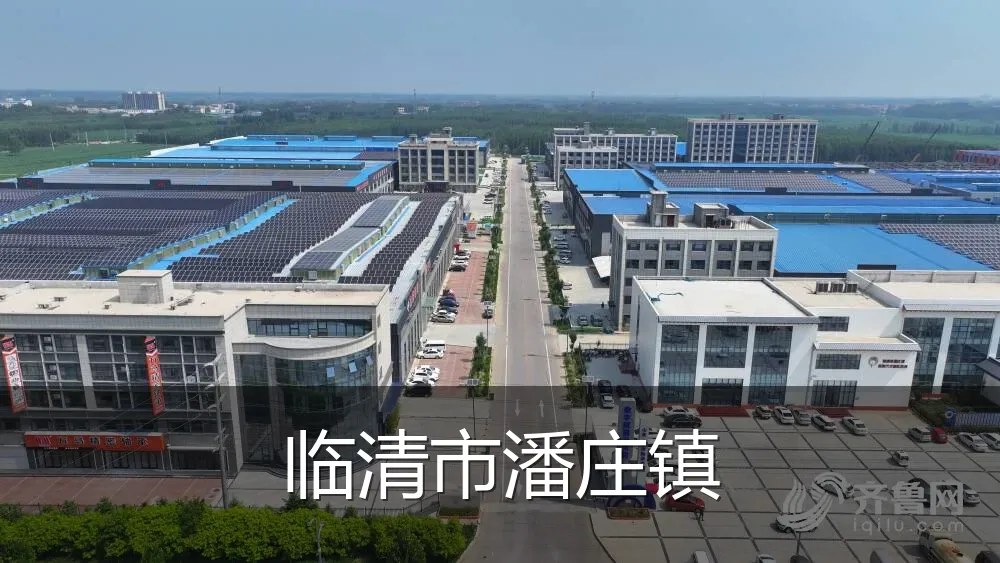 临清市潘庄镇